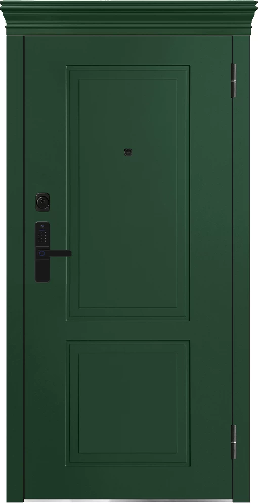 М-S 1009 Е