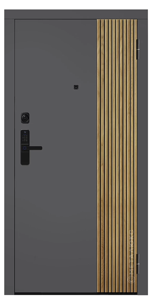 М-S 649/1