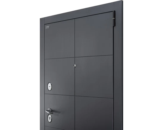 Porta S 10.П50 (AB-6) Graphite Pro/Nordic Oak