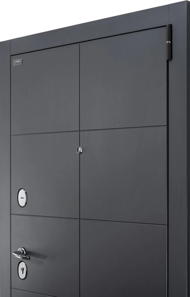 Porta S 10.П50 (AB-6) Graphite Pro/Nordic Oak